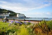 Top Llandudno