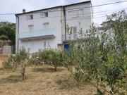 Top Draga Bašćanska Top Draga Bašćanska