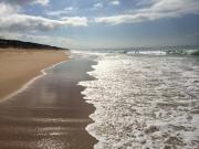 Paradise on The Boulevard - 90 Mile Beach Holiday Home