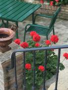 Villa Anna Savini Casa Vacanze