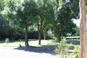 Top Montesquieu-Volvestre