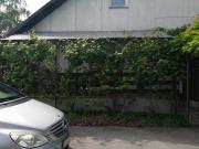 Top Ogulin