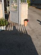 Top Sperlonga
