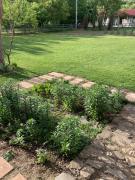 Top Ampoiţa Top Ampoiţa