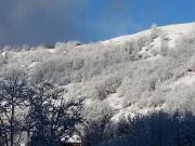 Top Saint-François-Longchamp