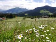 Top Hopfgarten im Brixental