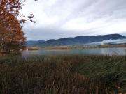 Top Banyoles