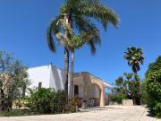 Tenuta Punta della Suina