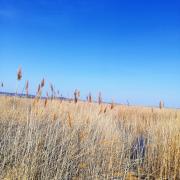 Kirschbluetenappartements