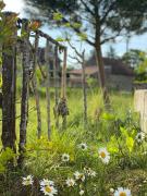 Domaine de Combraille en Marche