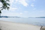 Top Lumut