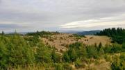 Top Zlatibor