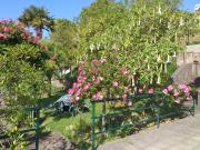 Top San Martin del Mar