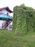 Top Klatovy