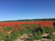 Top Saint-Quentin-la-Poterie