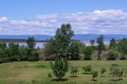 Top Kamouraska