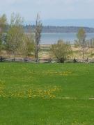 Top Kamouraska