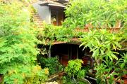 Top Ubud