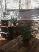 Apto con patio y barbacoa BBQ H de la Reina