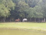 Top Saint-Quentin-en-Tourmont