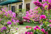 Top Phu Quoc