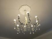 Top Albissola Marina