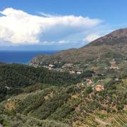 Top Levanto