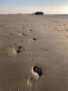 Top Sankt Peter-Ording