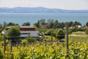 Top Kressbronn am Bodensee