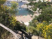 Top Ponza