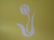 Lady Tulip - monolocale