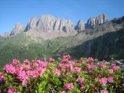 Top Fiera di Primiero