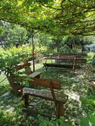 Top Ohrid