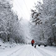 Top Stavelot