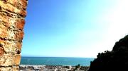 Top Salerno