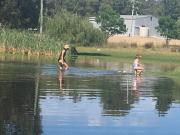 Something Different - Shedstay