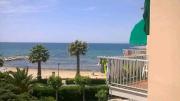 Top Follonica