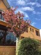 Top Saint-Jean-de-Monts