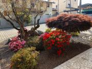 Top Tezze sul Brenta