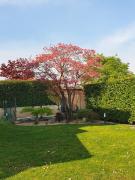 Top Tezze sul Brenta