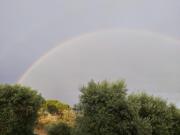 Top Vila Verde de Ficalho