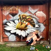 Top Dzików Stary Top Dzików Stary