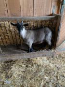 Top Saint-Loup-Géanges