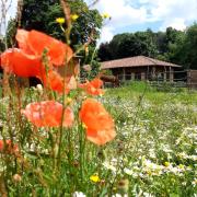 Top Cassano Magnago Top Cassano Magnago