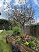 Ferienhaus Frankstraße 5b