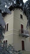 Top Craveggia