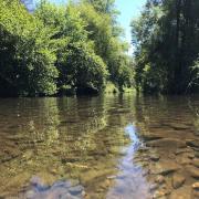 Top Fontão Fundeiro