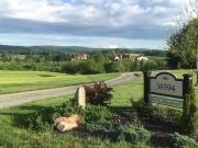 Top Waterford Top Waterford