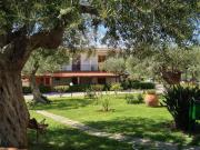 Top Gioiosa Marea Top Gioiosa Marea