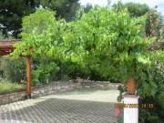 Top Sirolo